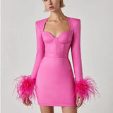 Celeste | Feather Trim Long Sleeve Dress