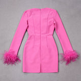 Celeste | Feather Trim Long Sleeve Dress